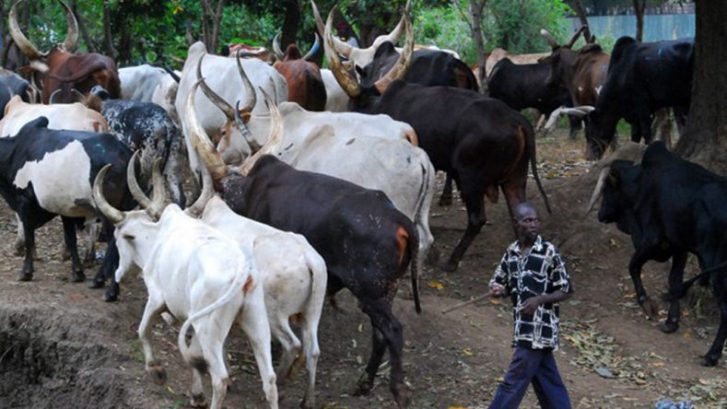 Plateau Stakeholders, Security and Religious Leaders raise Alarm of influx of Herdsmen into the State