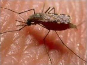 MALARIA: NAFDAC Alerts Public on Fake COARTEM Tablet in Circulation