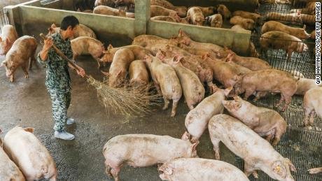 Breaking: New strain of swine flu discovered in China