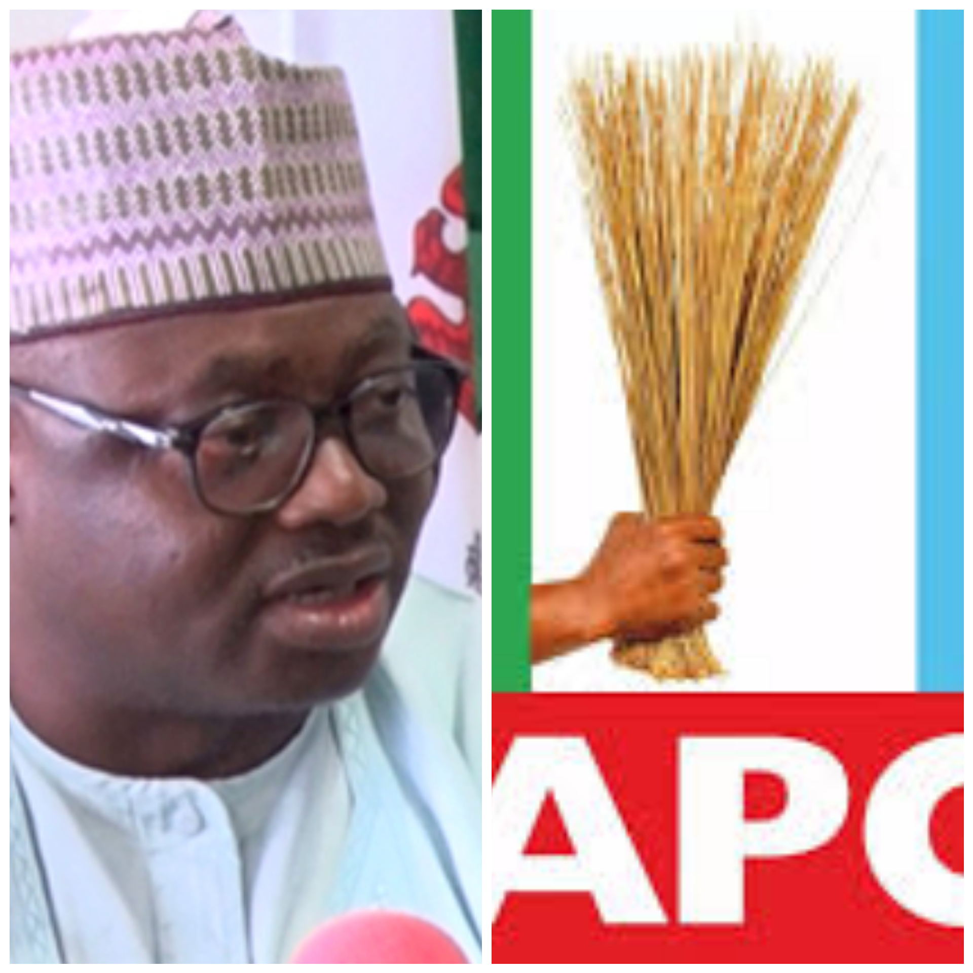 Edo Governorship: APC Names Primary Election, Appeal Committees