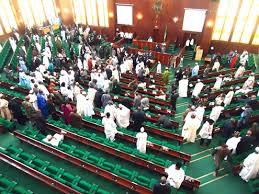 House of reps rejects castration as punishment for rapists
