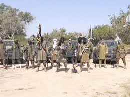 30 Boko Haram Commanders Set to Surrender; As 40 other Commanders Perish under Troops Offensive; Shekau Confused