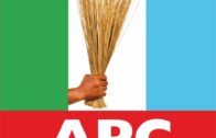 APC’s Impending Implosion: Plateau State as Symbol