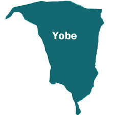 Explosives are buried in seven Yobe towns –Police