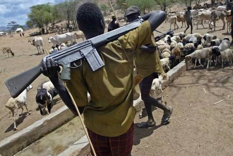 The Benue Valley: Contending With Terror, Land Grabbing and Water Ways, By Justine John Dyikuk