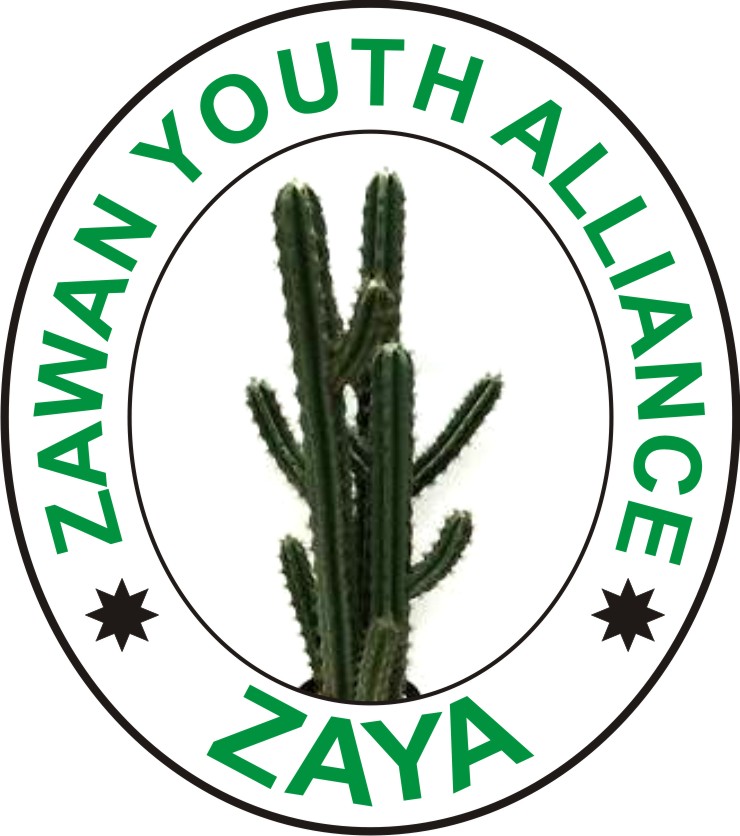 Individuals Not Zawan Community Drag Plateau Government and 2 Others to Court on Illegal Sales of Land – Zawan Youth Alliance