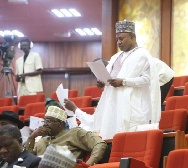 Nigeria Under Siege By Non-State Actors — Senator