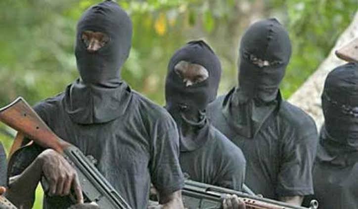 Mupun Nation commends hunters for rescue of DPO