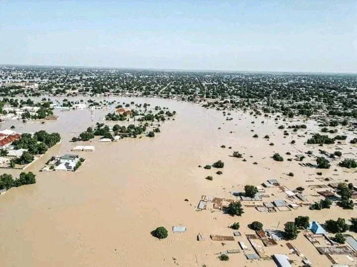 NCPC Empathizes With Vice President and Borno State Government Over Flood Disaster