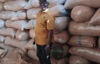 Plateau Begins 5 Days Stocktaking, Evaluation of Grains Procurement