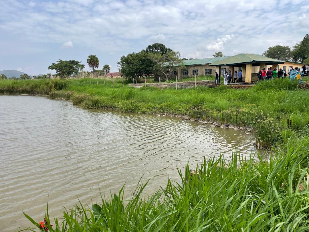 Plateau Government Revives Panyam Fish Farm, Other Inherited Projects